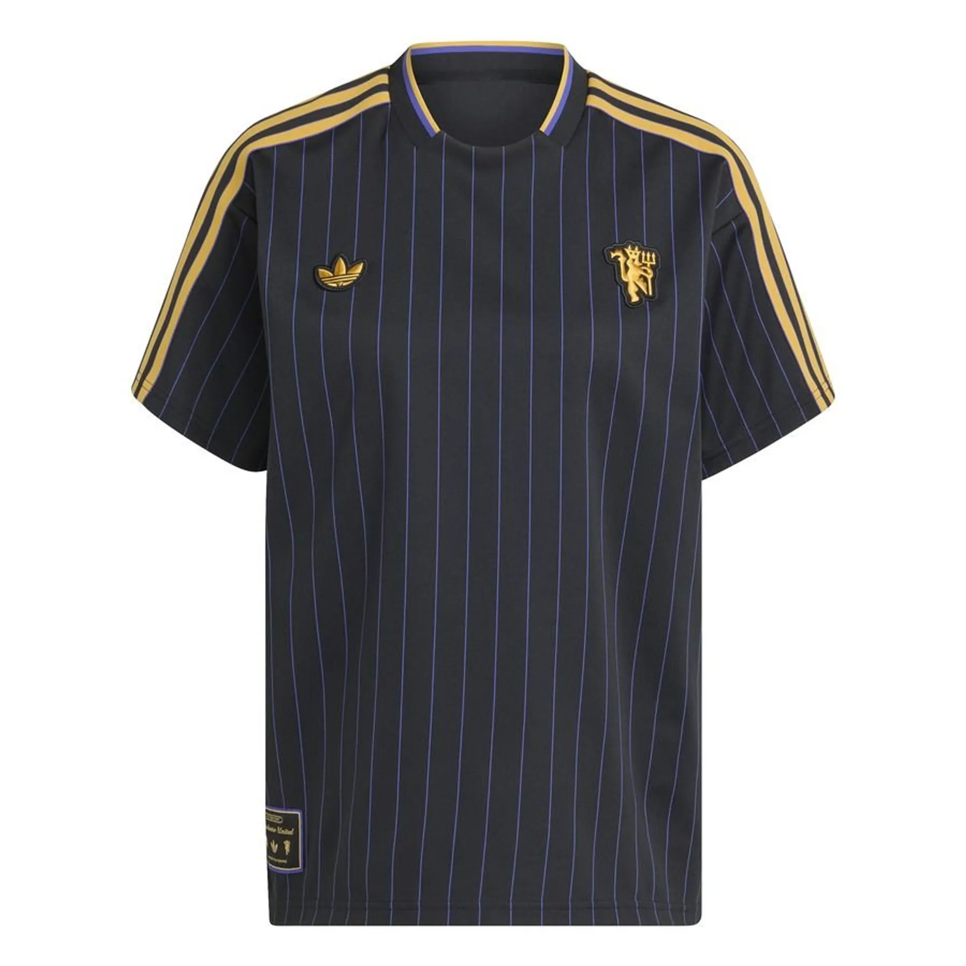 Manchester United Terrace Icon